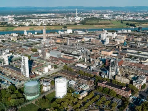 Das Herz der BASF-Gruppe ist die BASF SE mit ihrem Stammwerk in Ludwigshafen